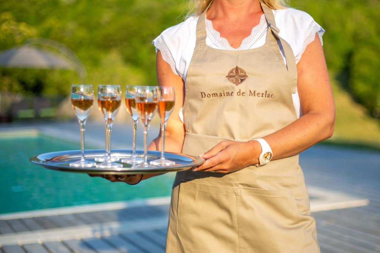 Domaine De Merlac Rieussec Екстериор снимка
