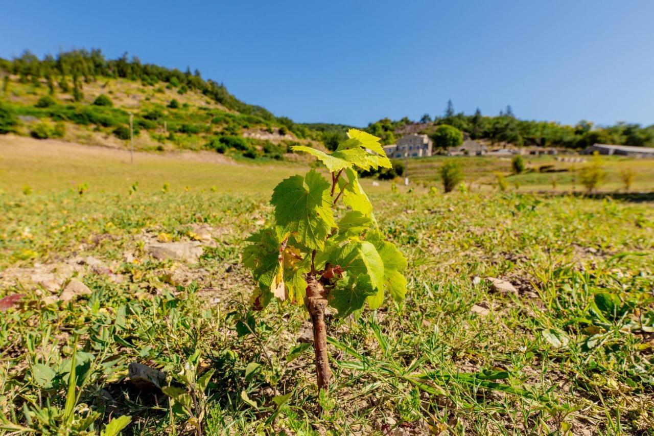 Domaine De Merlac Rieussec Екстериор снимка